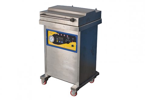 單室真空包裝機DZ-400/2L
